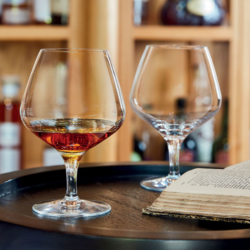 Cognac Glass